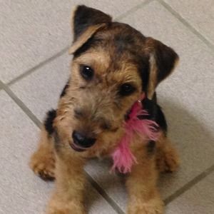 Meet your Posher, Nancy